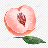 WWW,yiren33·COM网站APPAPP应用